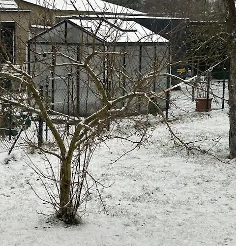 Haus Am Stadtrand Von Berlin *